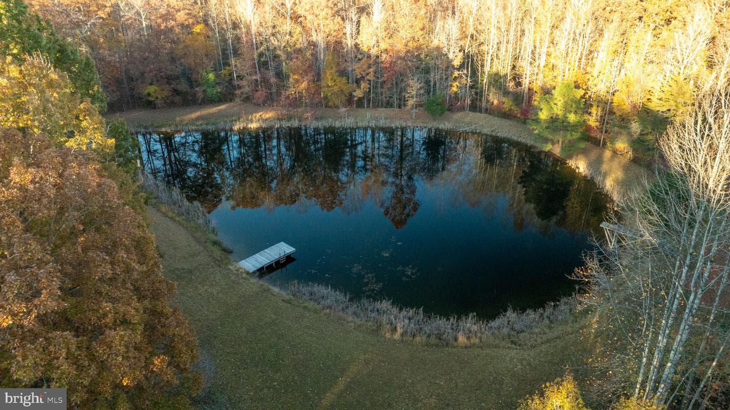 10325 Mill Pond Road photo 66