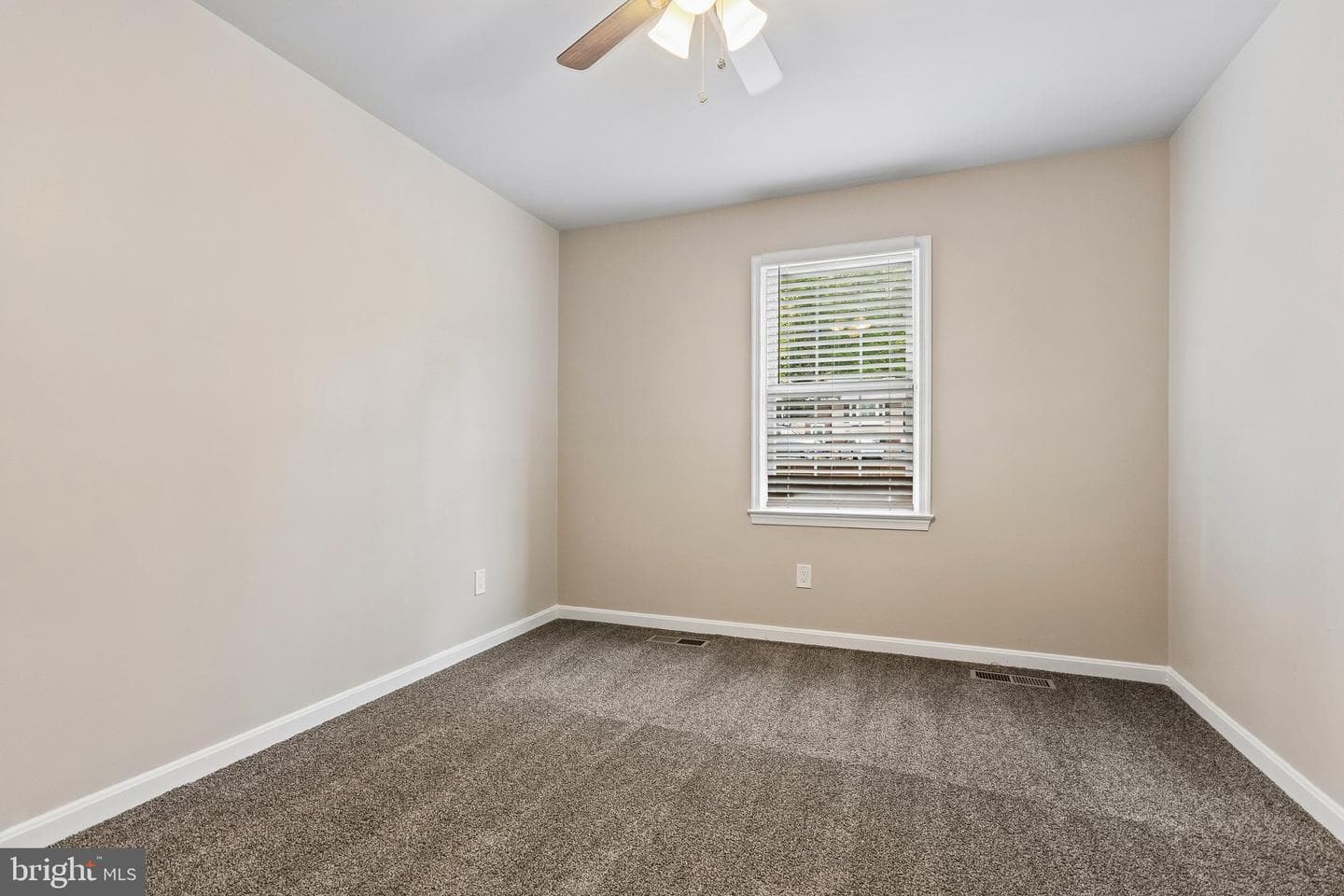 343 Albany Street photo 17