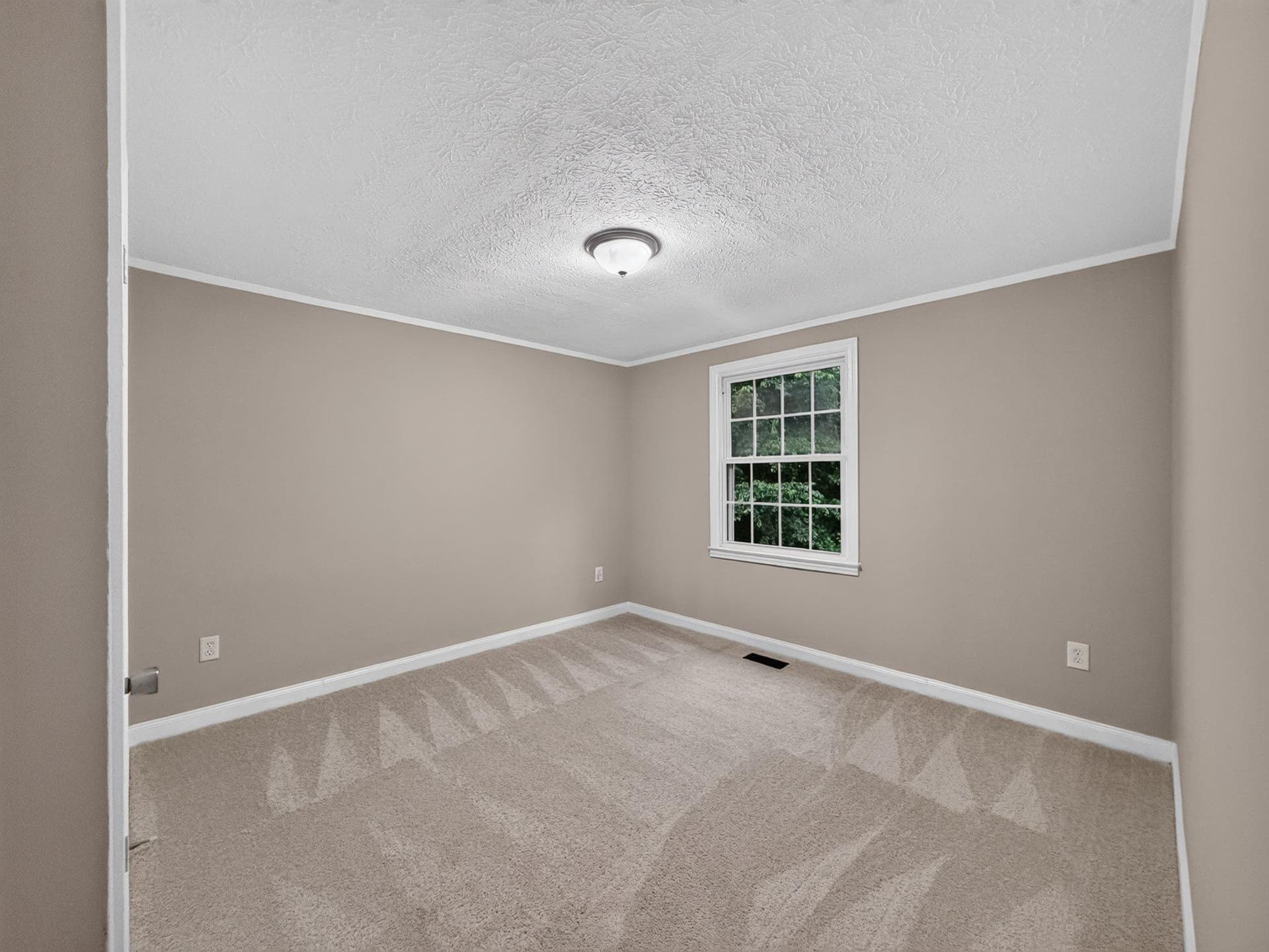 6117 Towles Mill Road photo 19