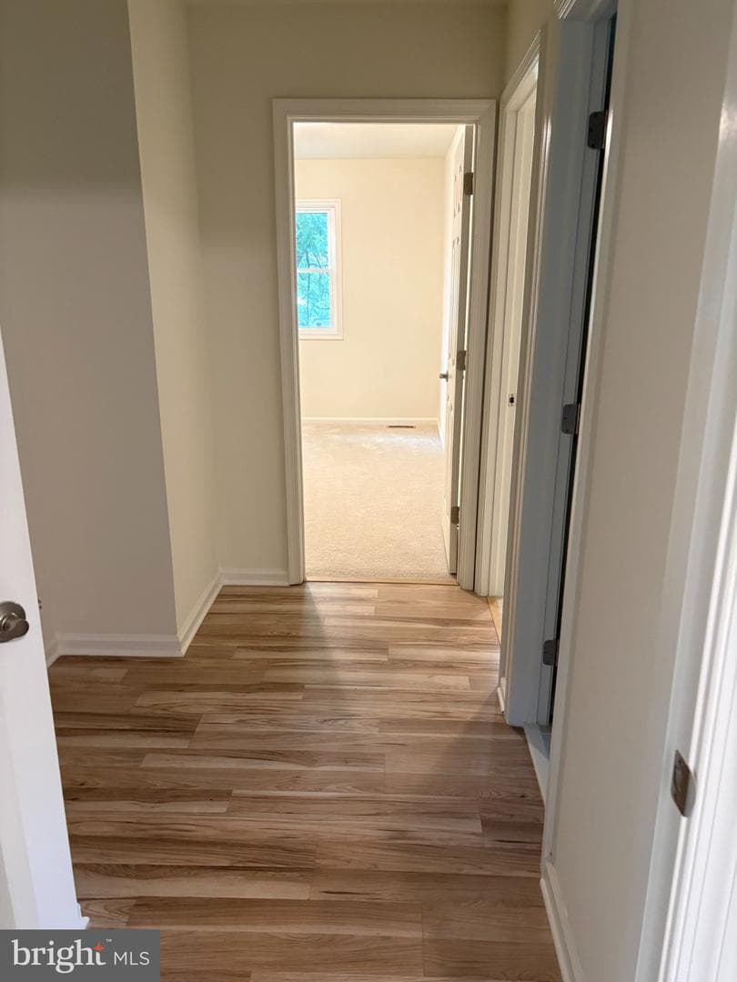 309 Olde Greenwich Dr. photo 19