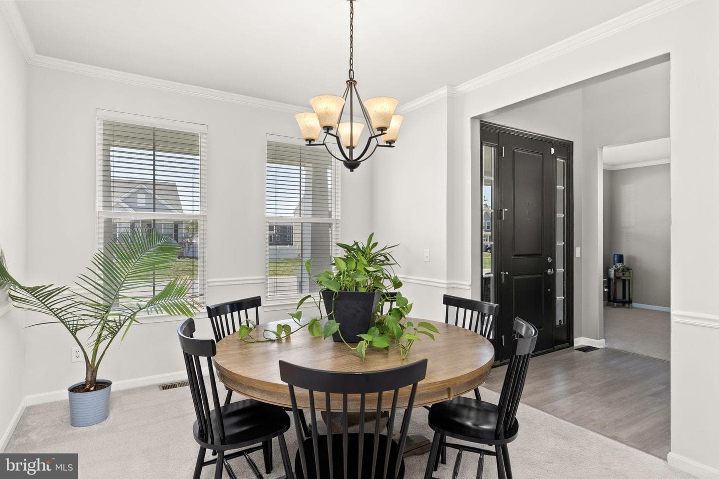 9305 Spring Hill Lane photo 12