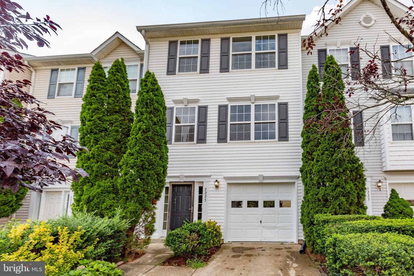 7225 Wytheville Circle photo 1