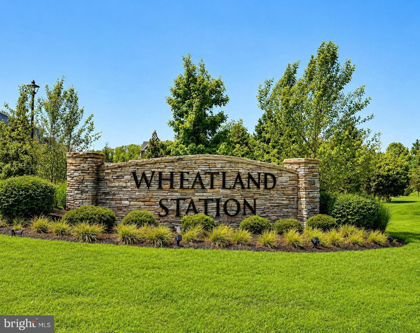 2817 Wheatland Station Way photo 5