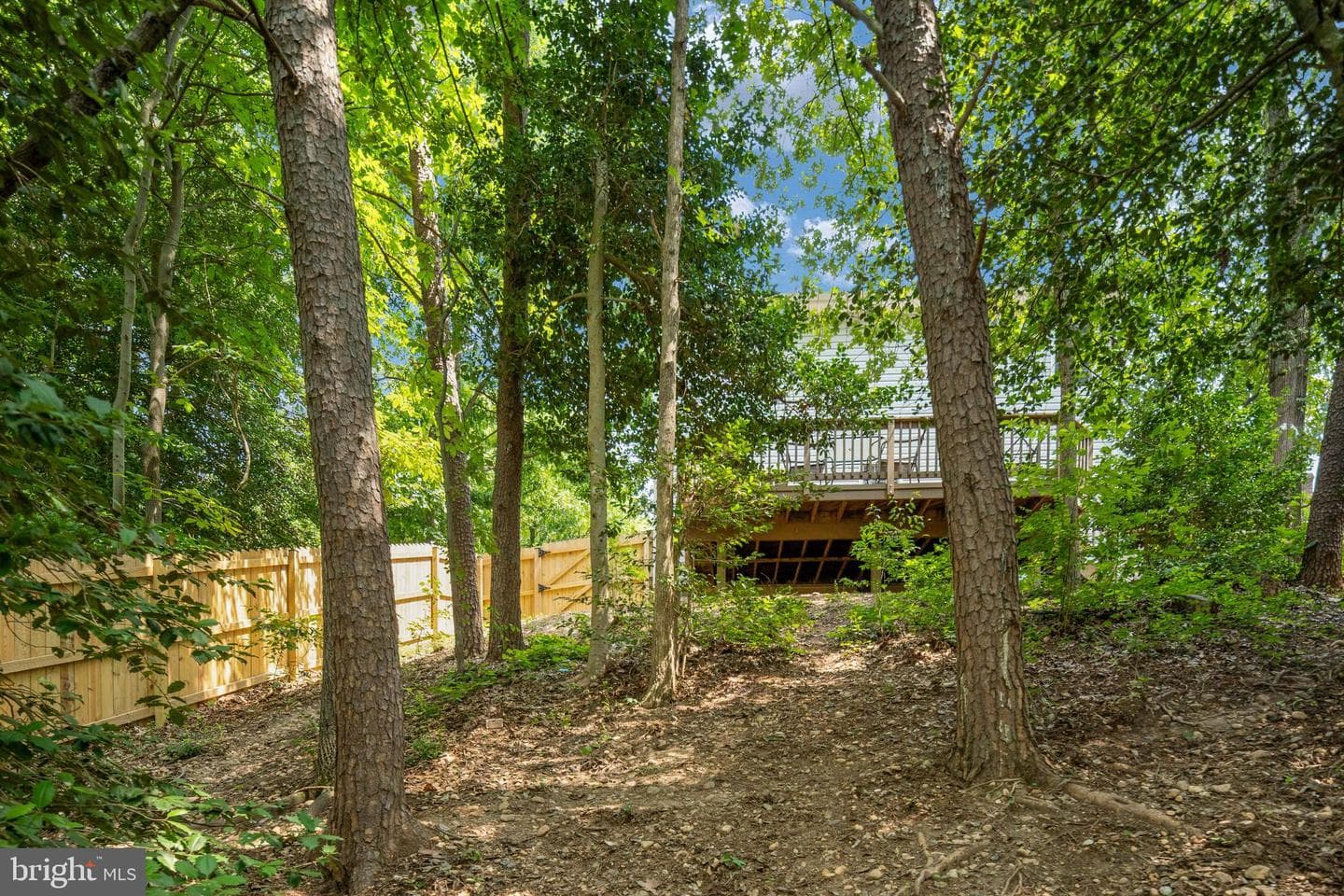 10416 Hillside Lane photo 47