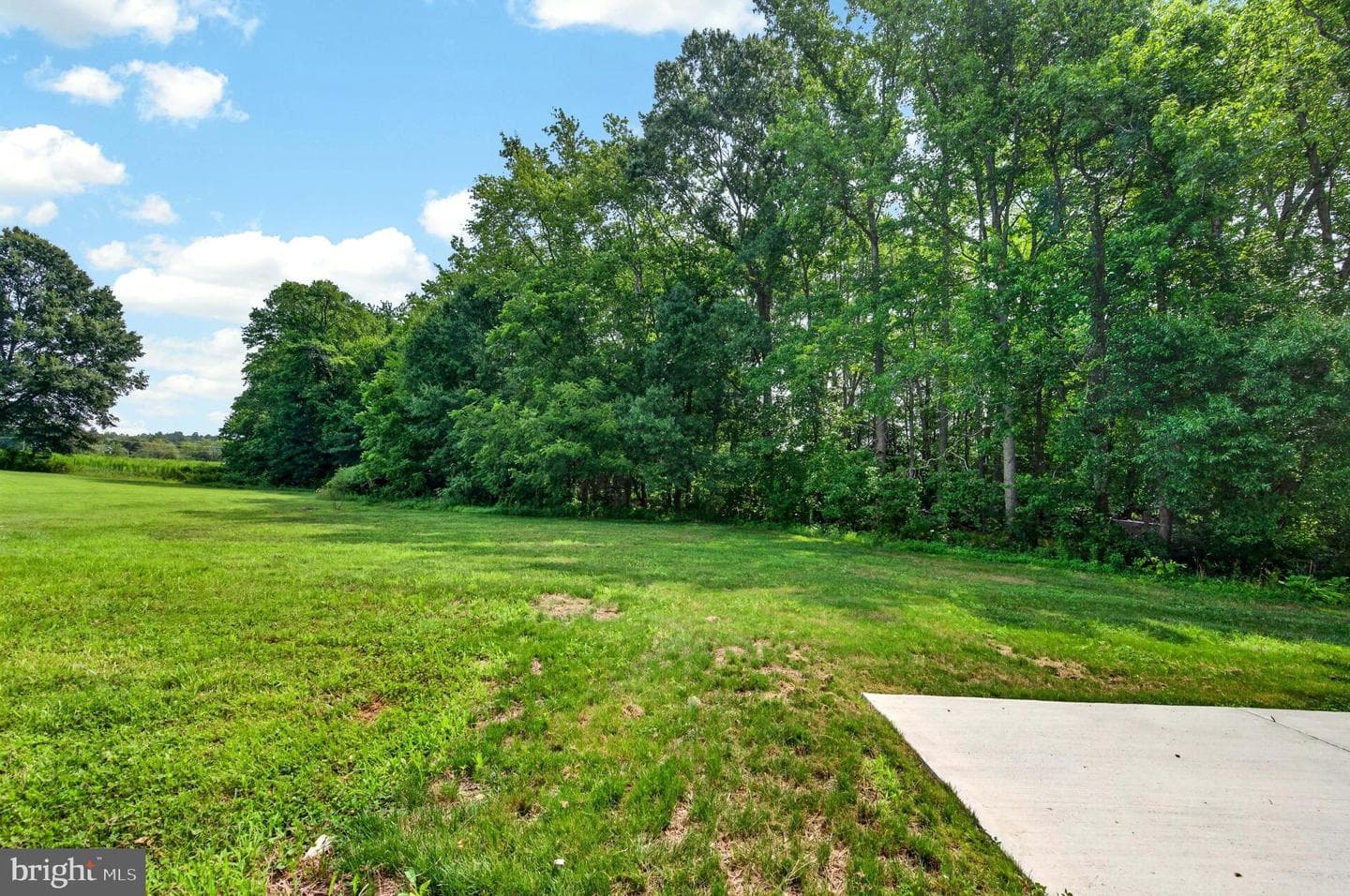 8039 Chancellor Road photo 106