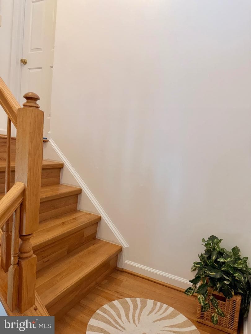 4601 Colonnade Way photo 30