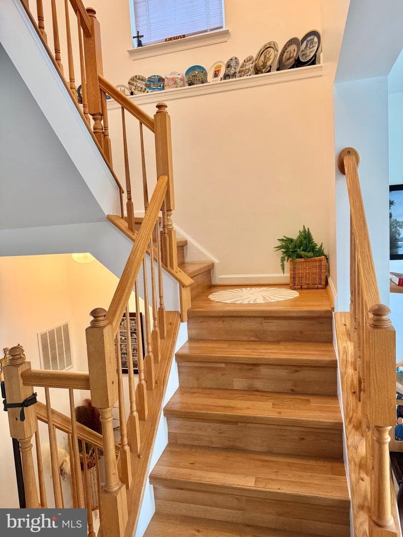 4601 Colonnade Way photo 31