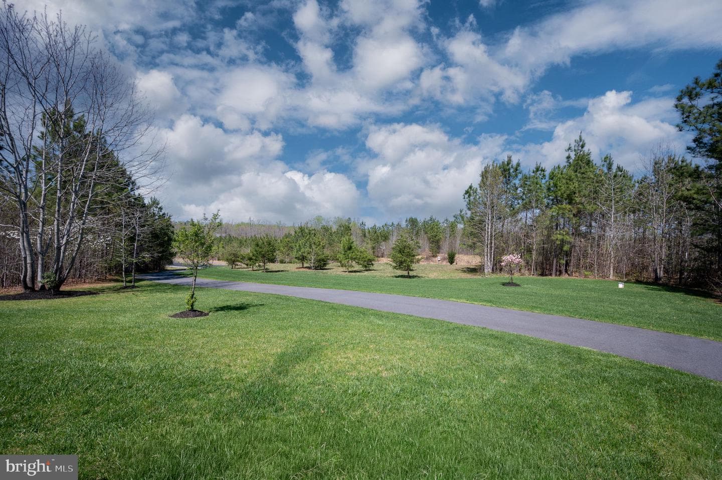 10912 Downton Avenue photo 67