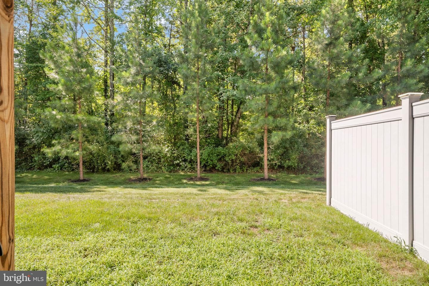 2702 Wheatland Station Way photo 44