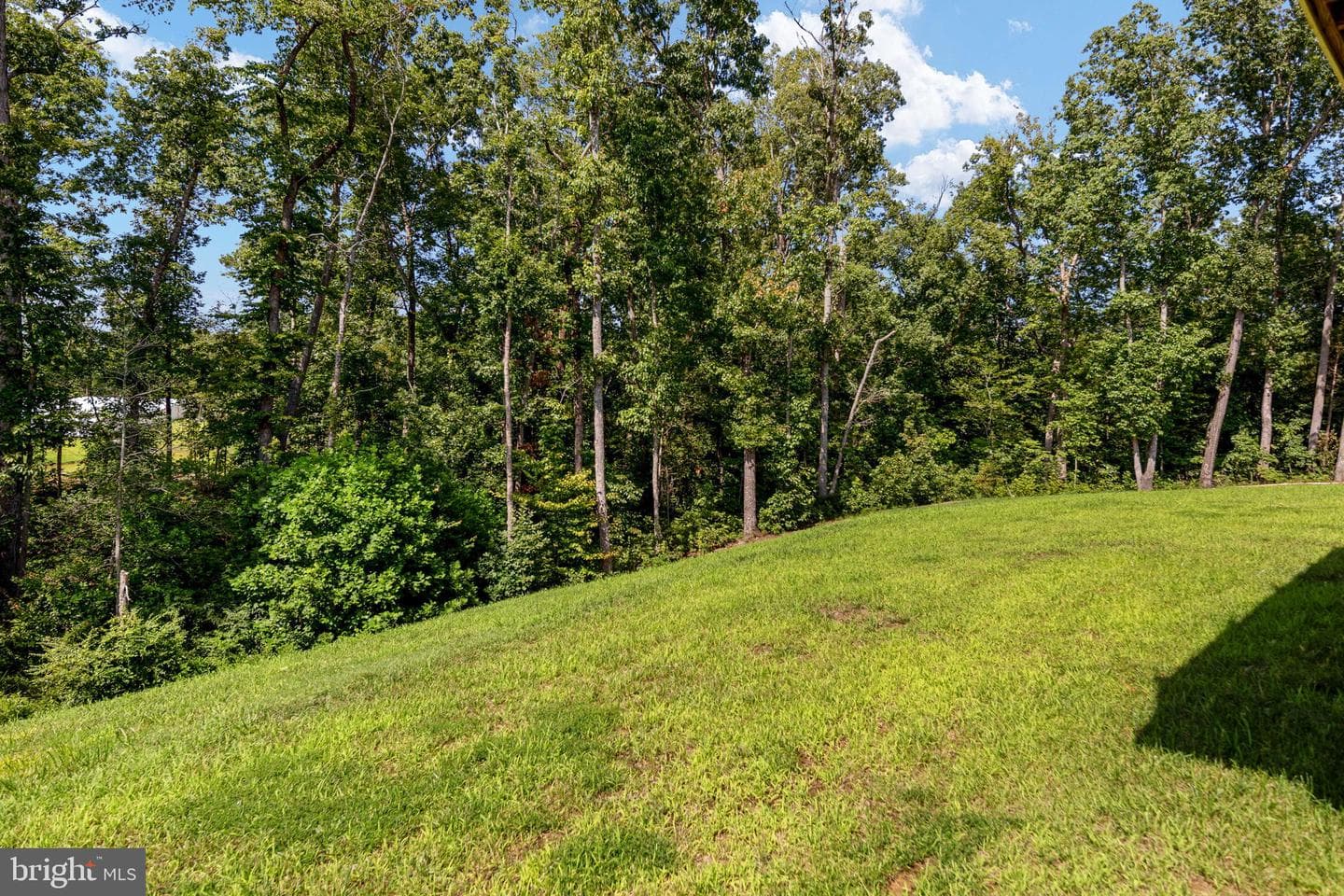 9312 Spring Hill Lane photo 88