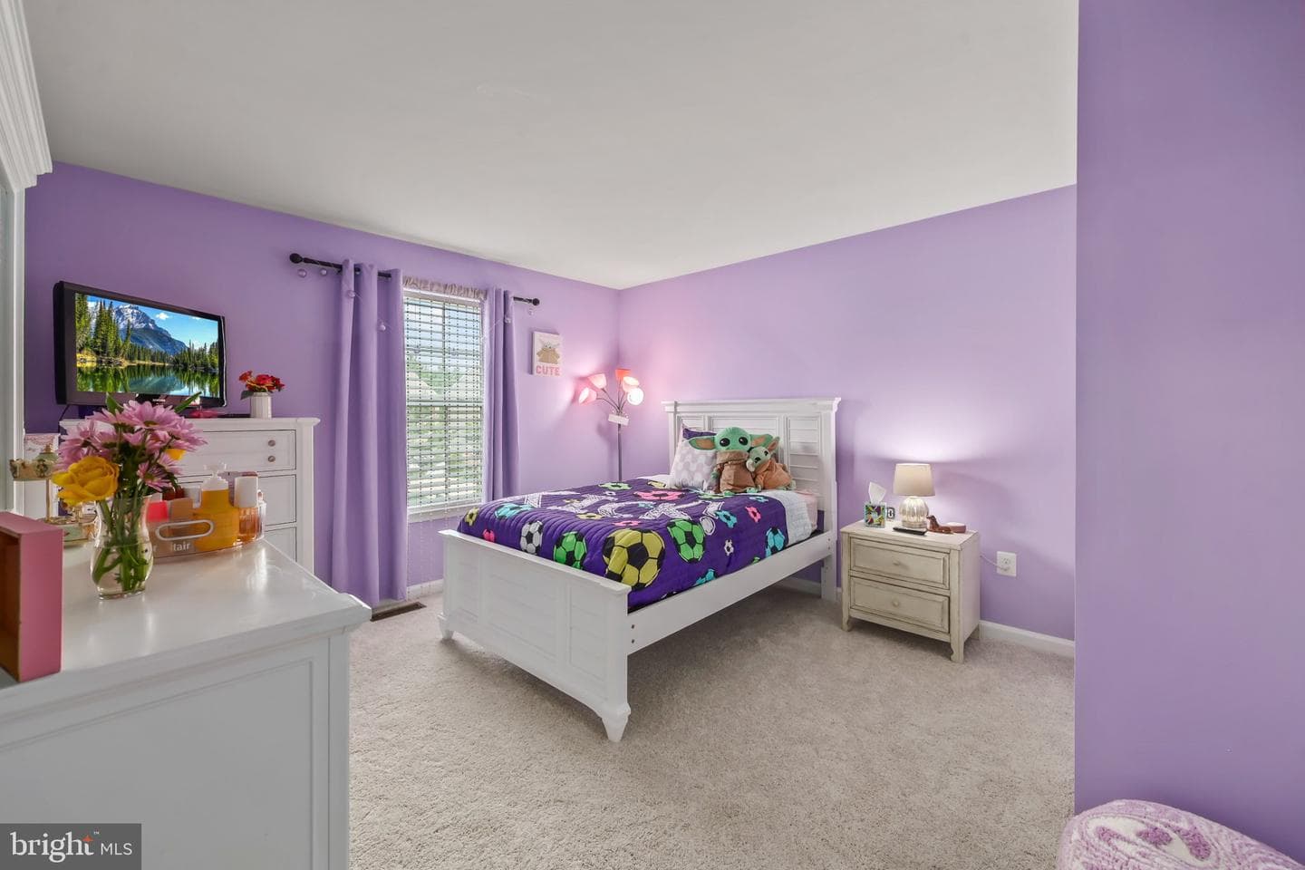 9904 Box Oak Court photo 37