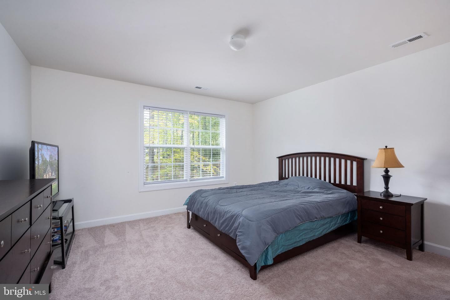 332 Ireland Drive photo 67