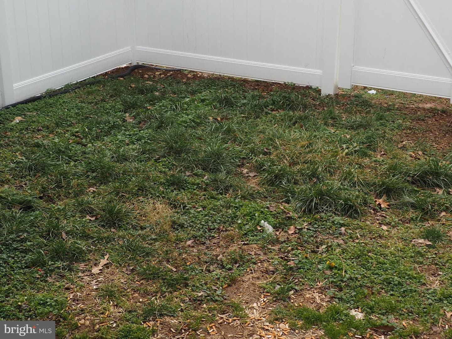 401 Madison Court photo 38