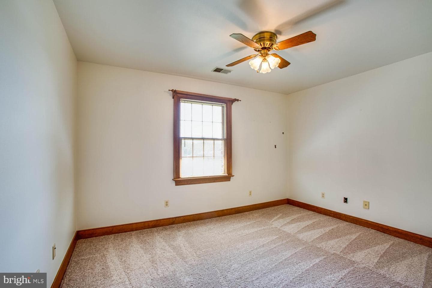 50 Cedar Oaks Lane photo 20