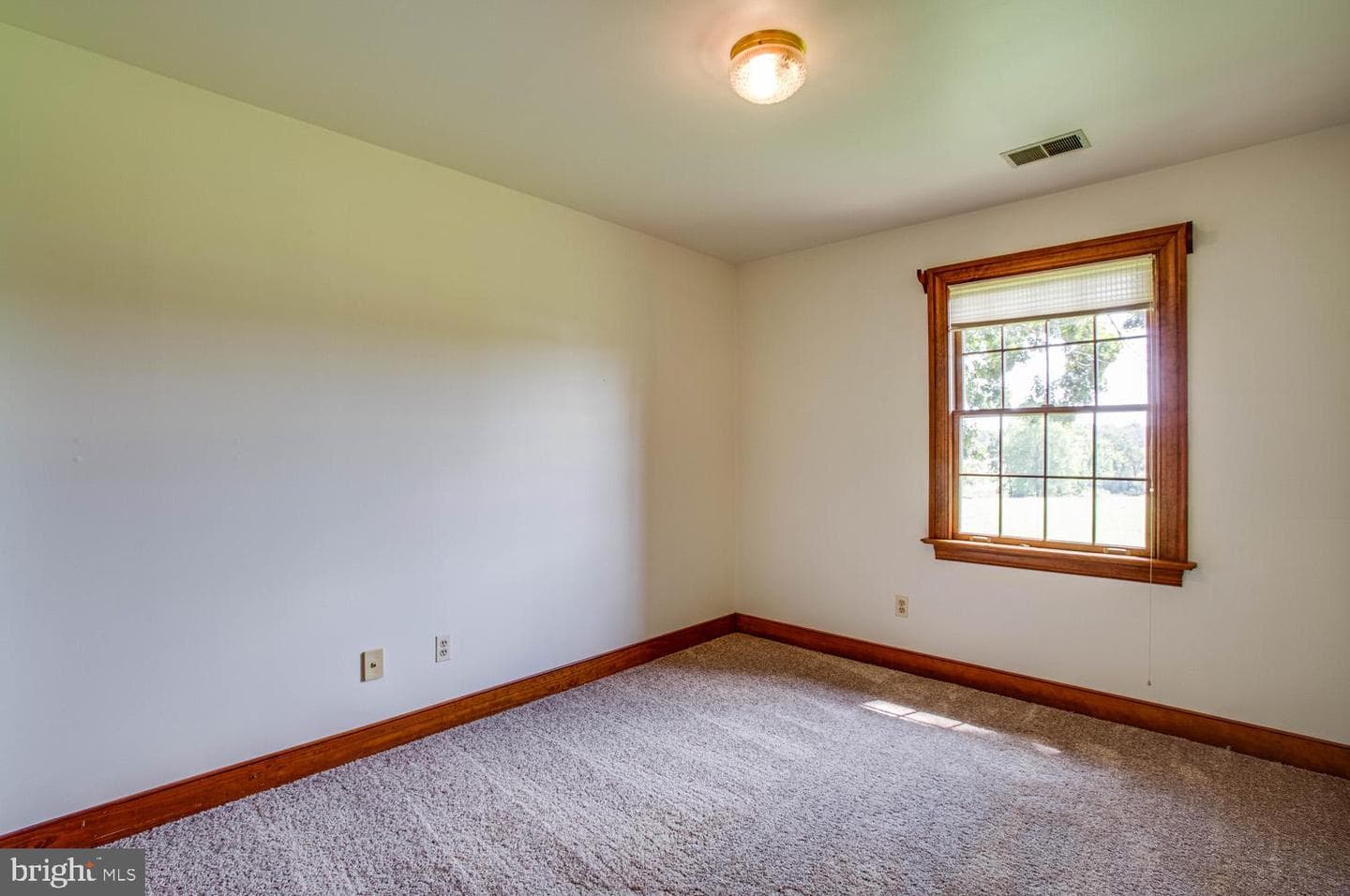 50 Cedar Oaks Lane photo 23