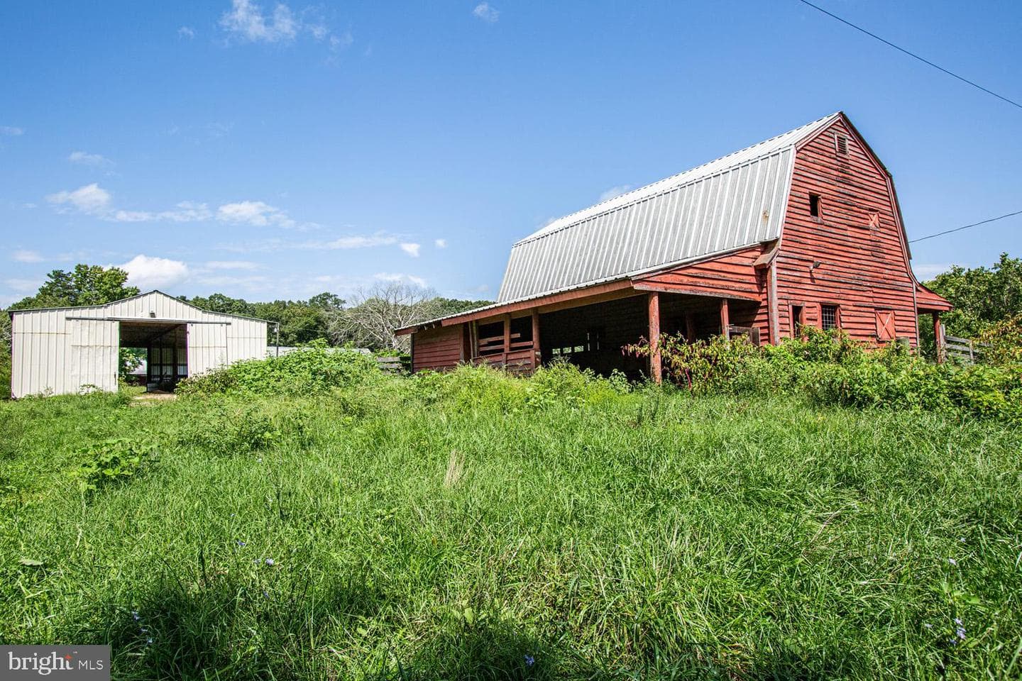 50 Cedar Oaks Lane photo 43