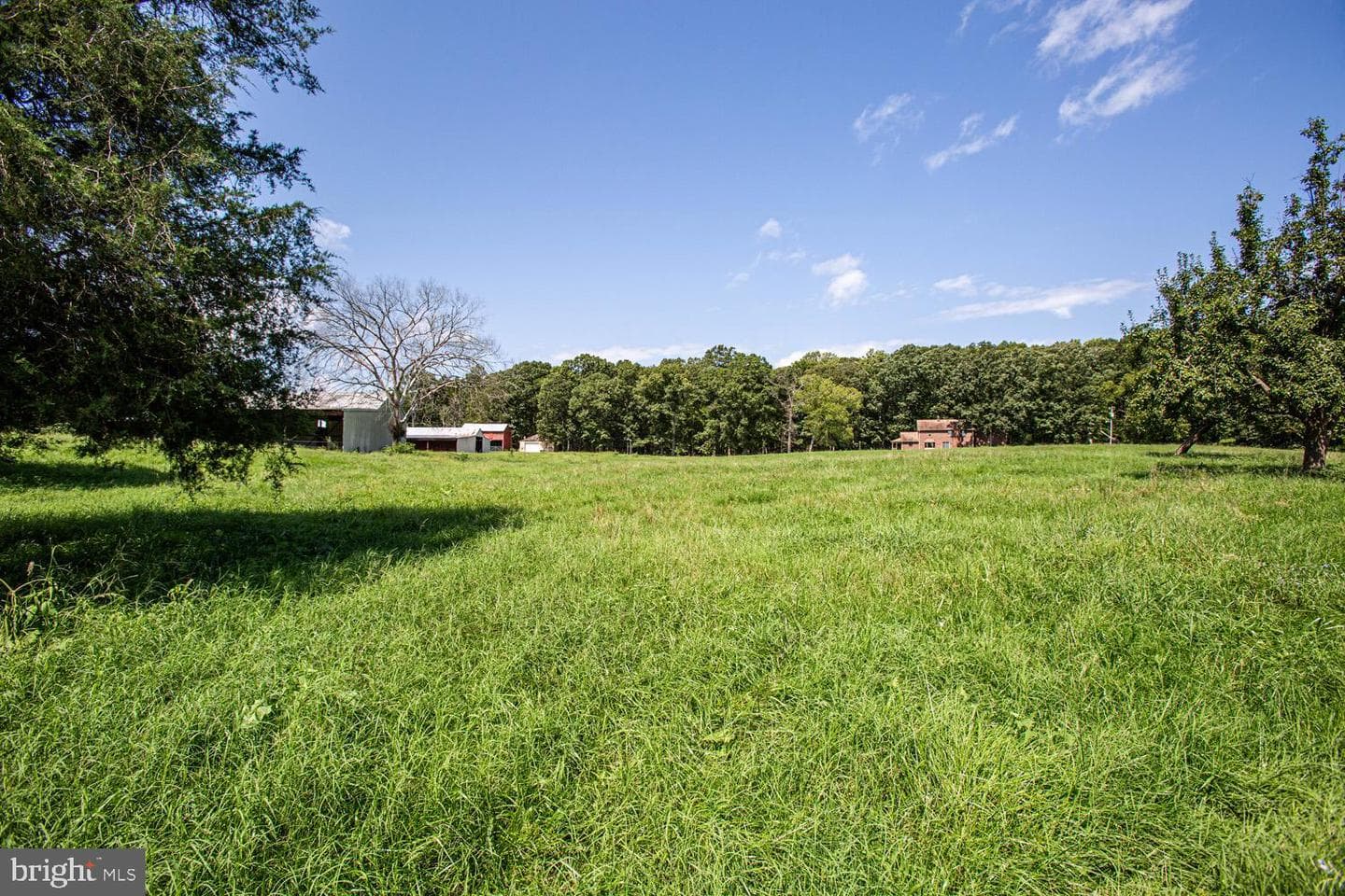 50 Cedar Oaks Lane photo 45