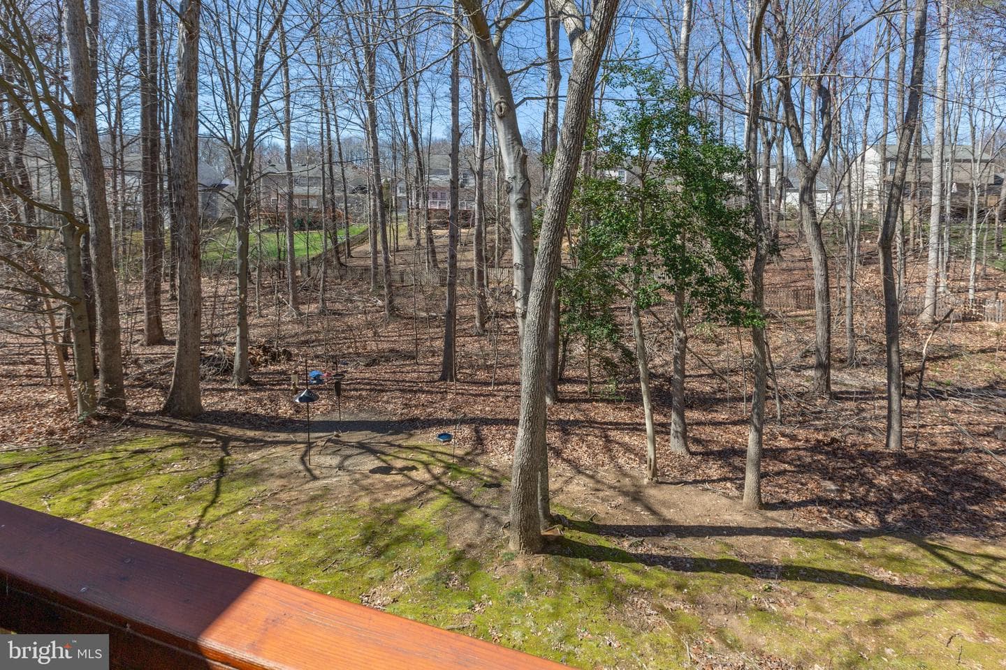 11 Emerald Drive photo 21