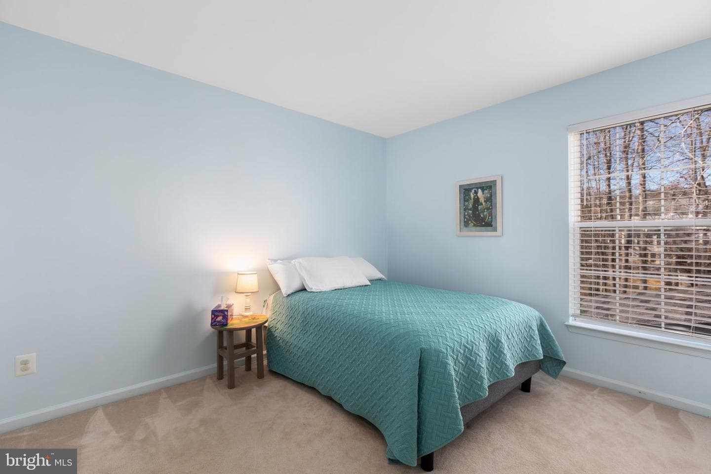 11 Emerald Drive photo 38