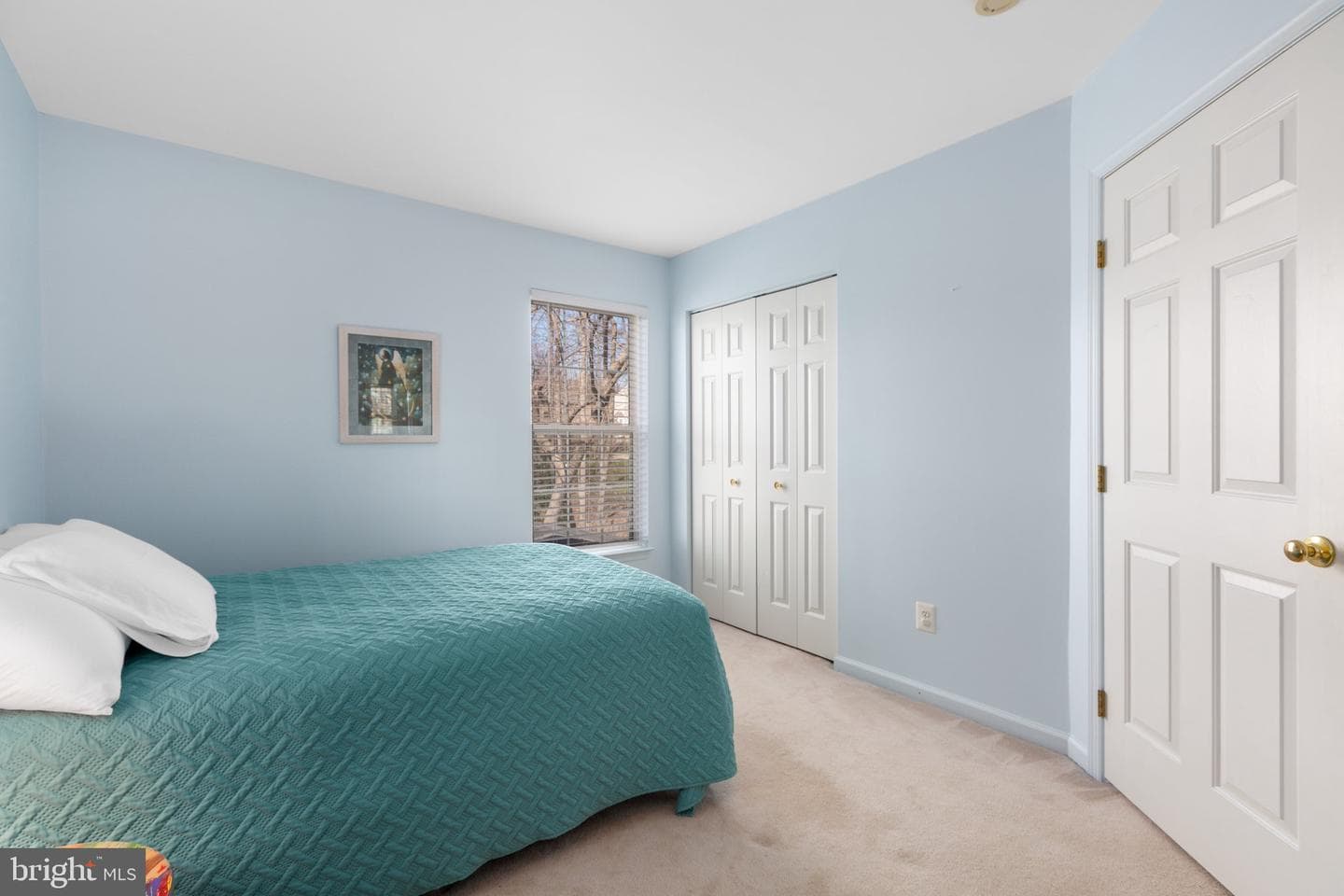 11 Emerald Drive photo 39