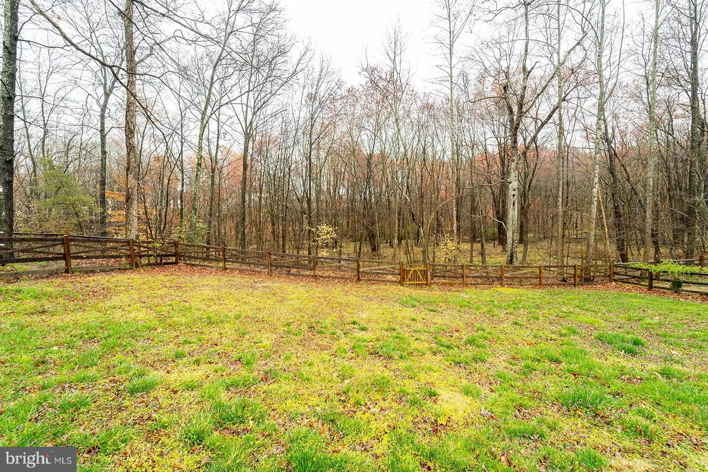 13 Pennsbury Court photo 28