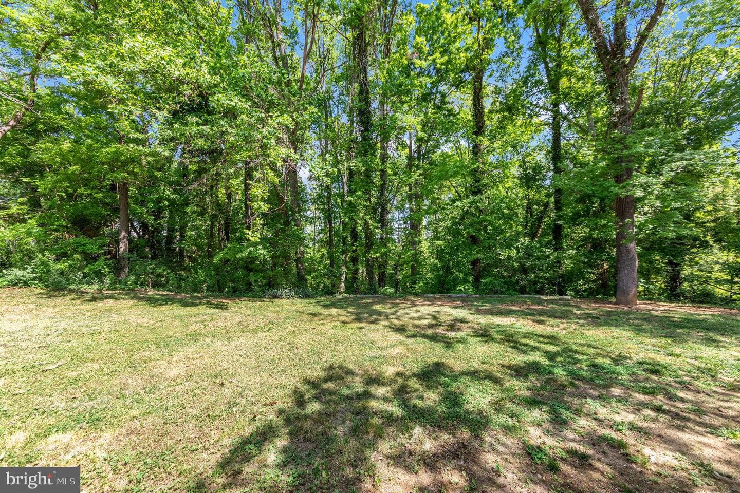 302 Walnut Drive photo 34