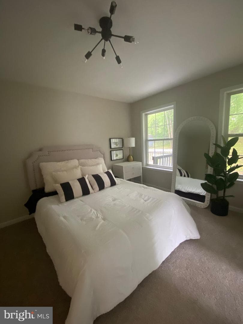 10 Myrtle Road photo 44
