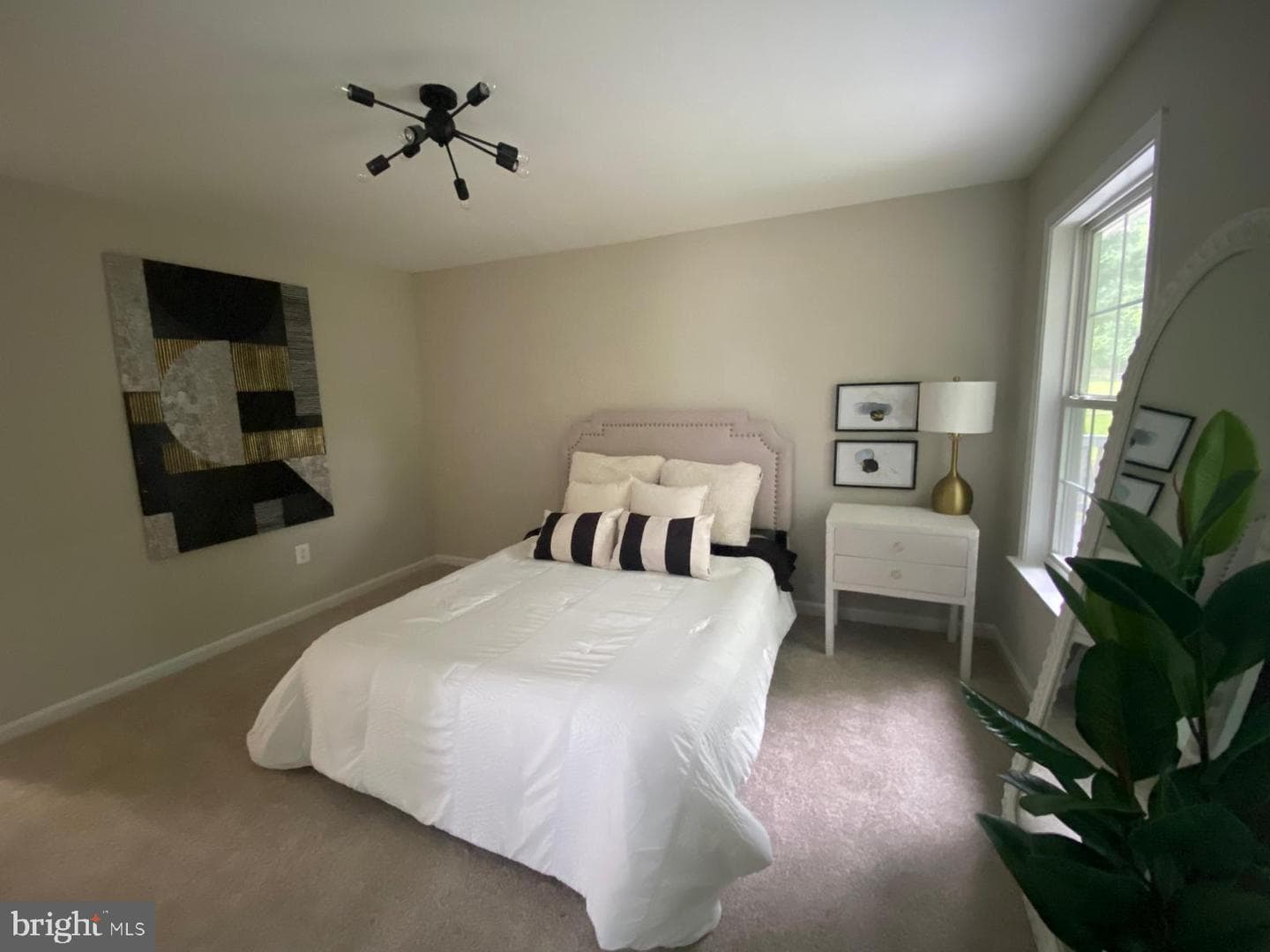 10 Myrtle Road photo 46