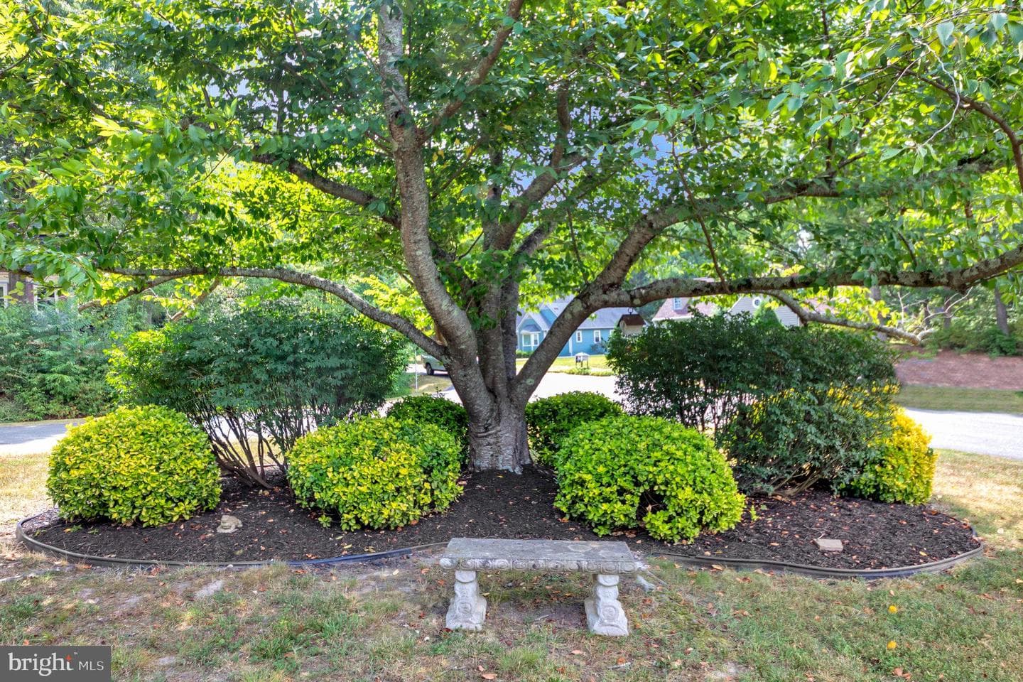 138 Cleremont Drive photo 39