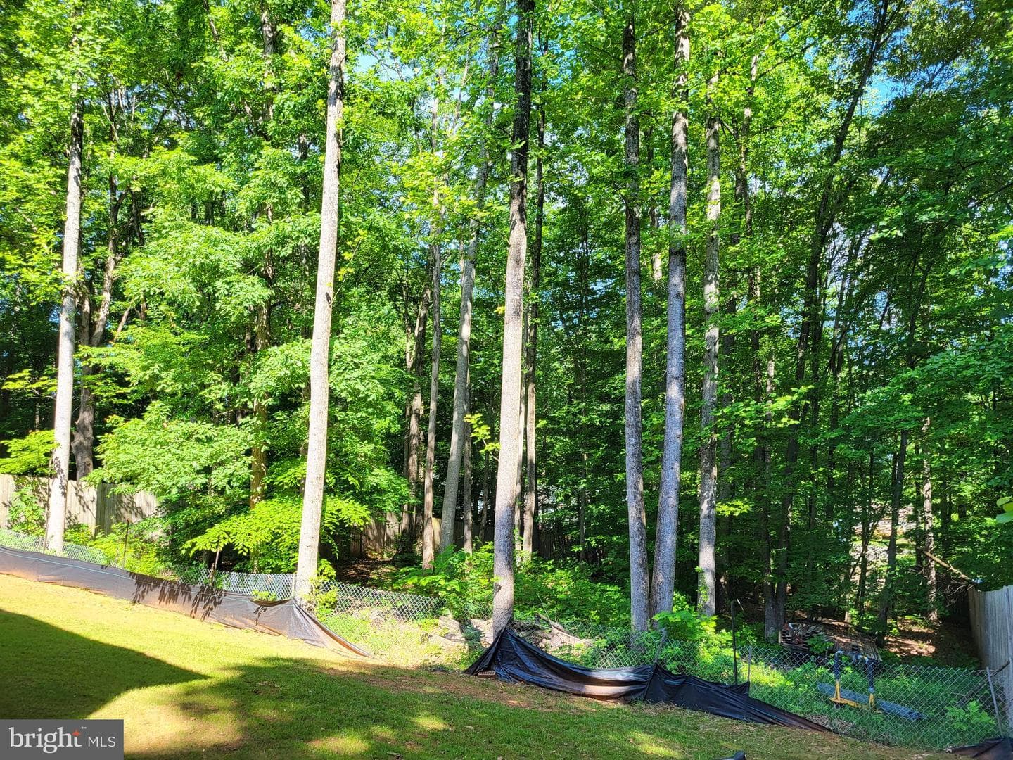 14 Aquia Avenue photo 19