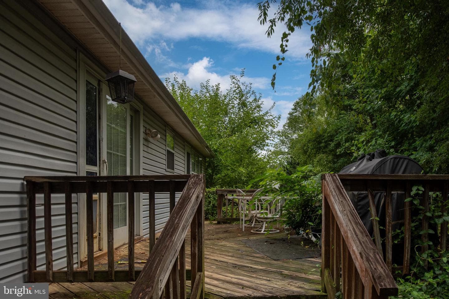5 Renwick Court photo 6