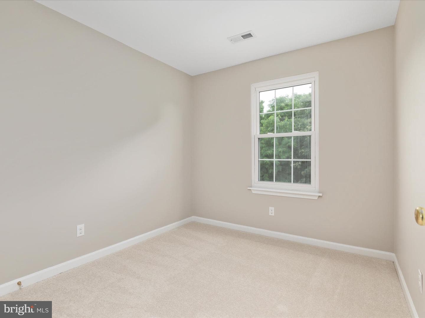 310 Hatchers Run Court photo 24
