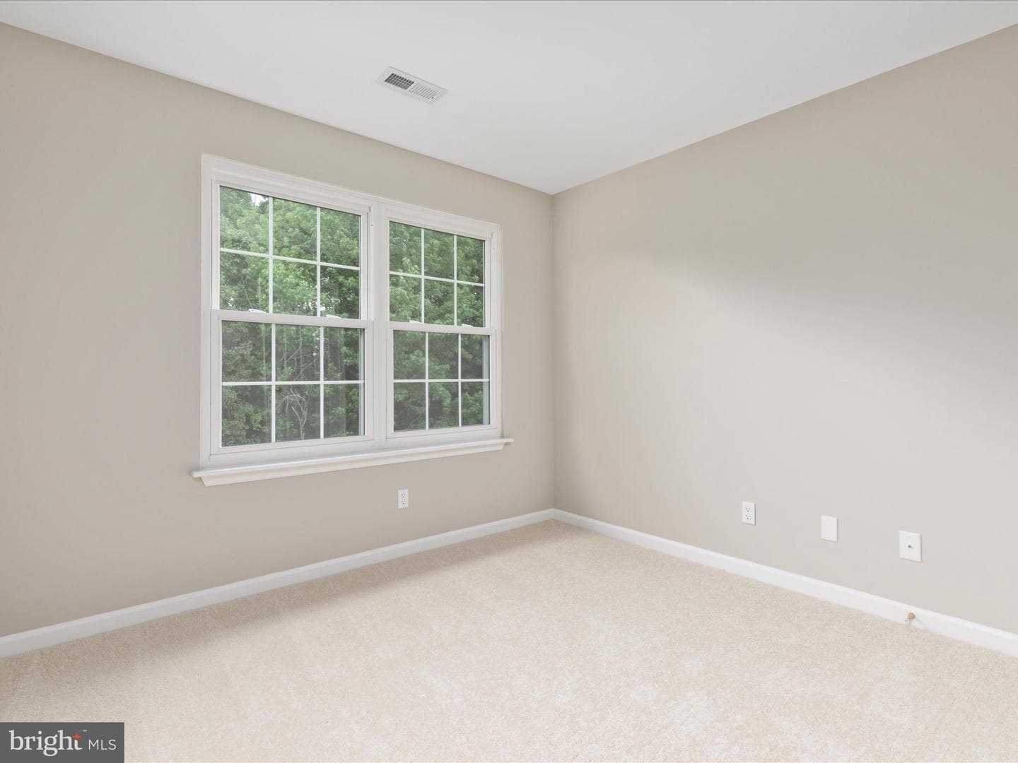 310 Hatchers Run Court photo 25