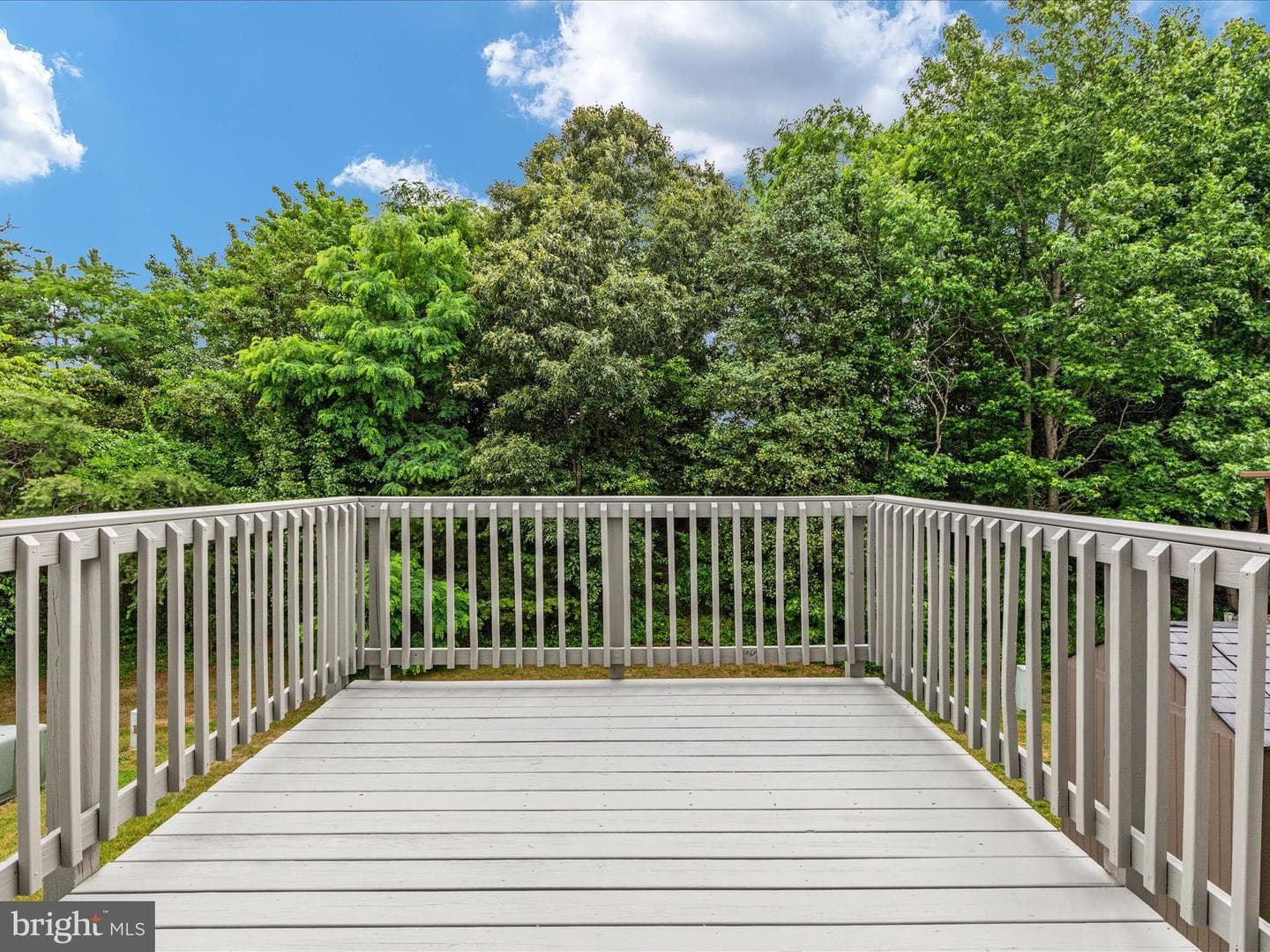 310 Hatchers Run Court photo 26