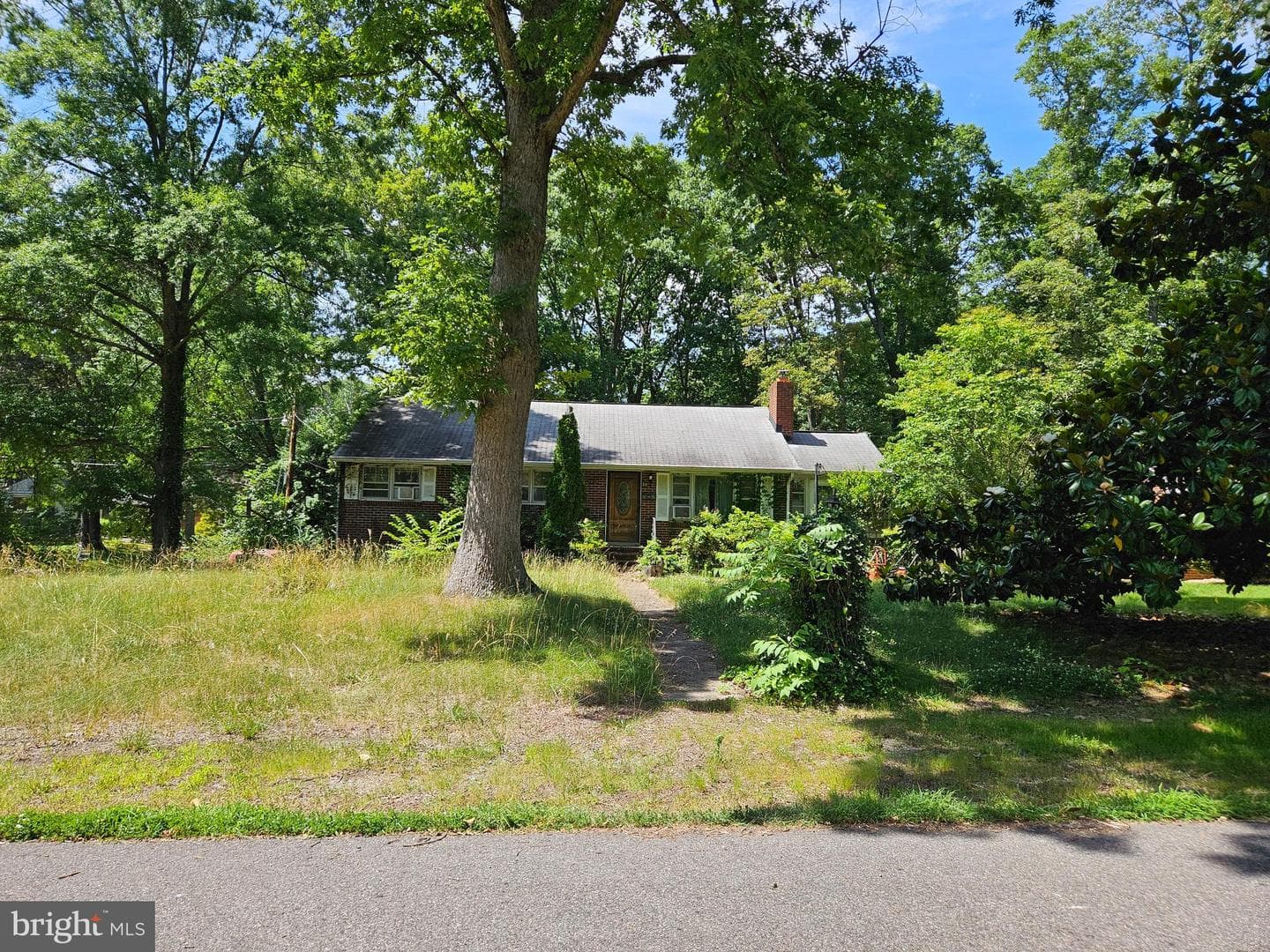 29 Tazewell Street photo 1