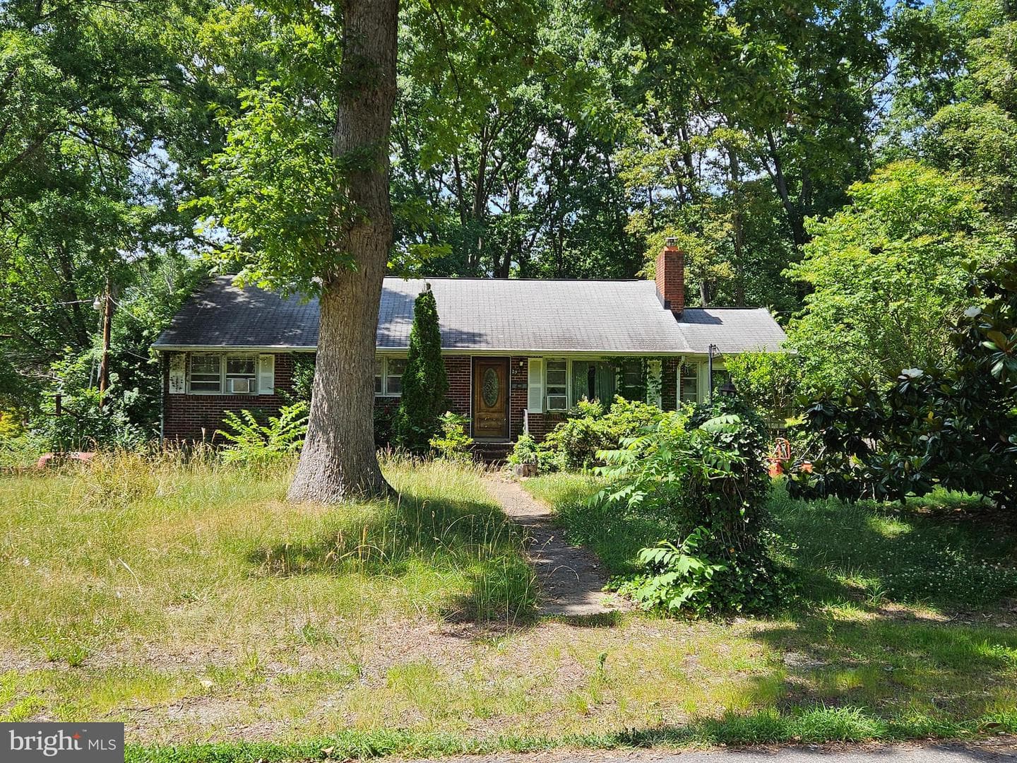 29 Tazewell Street photo 2