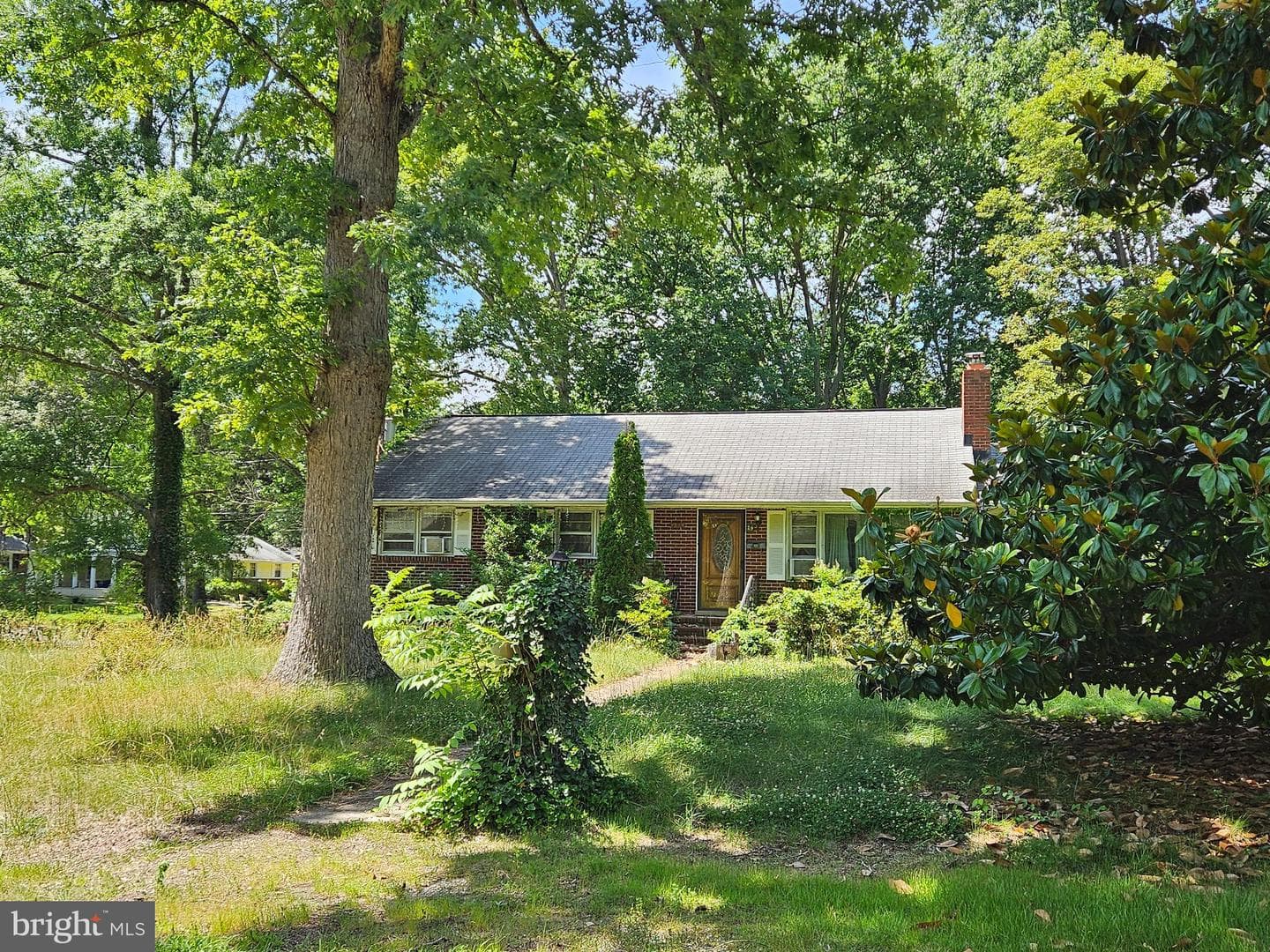 29 Tazewell Street photo 3