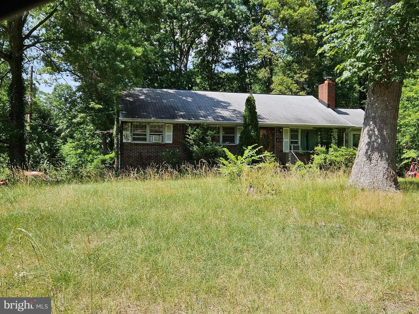 29 Tazewell Street photo 4