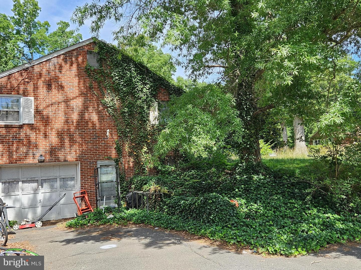 29 Tazewell Street photo 5