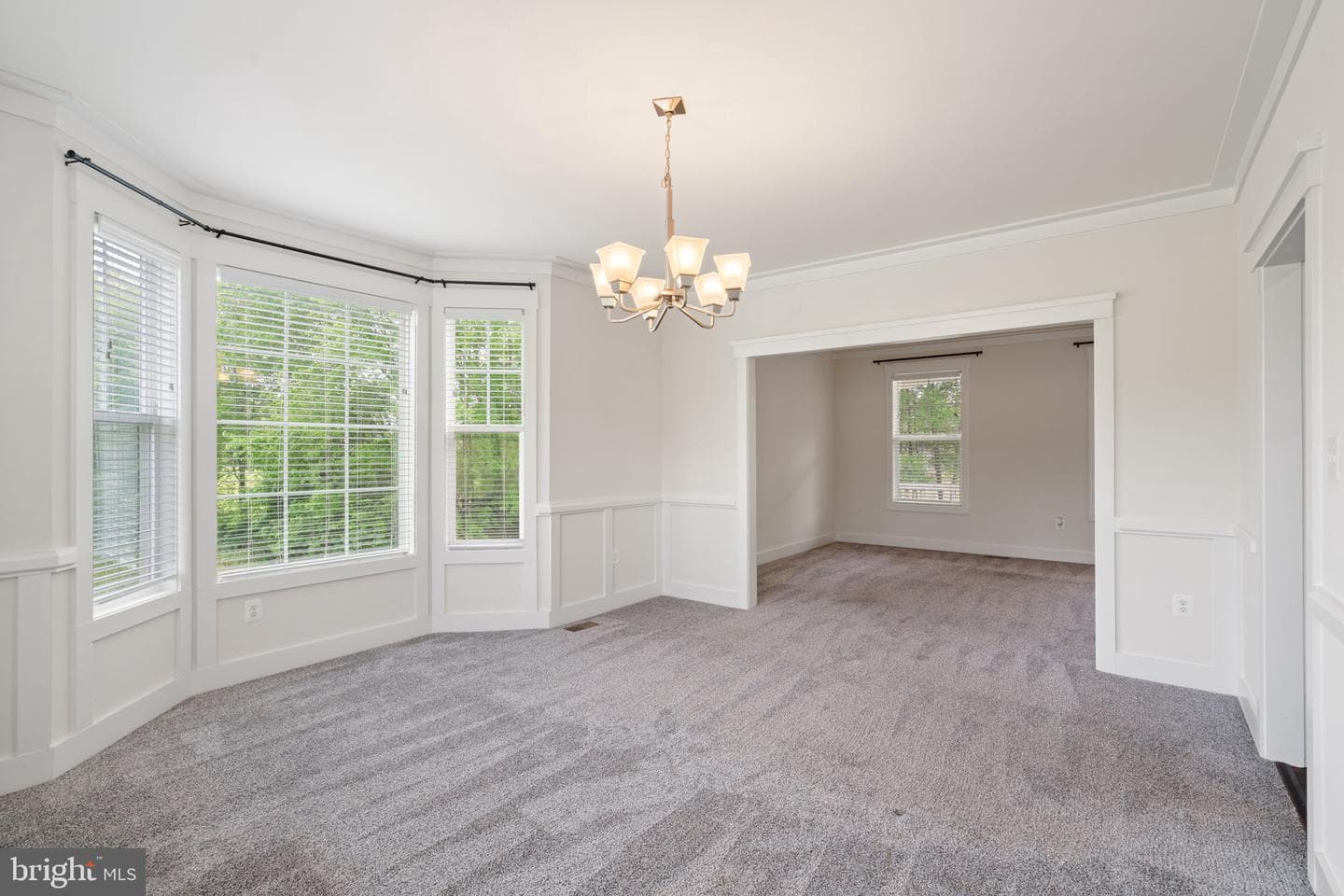 118 Seth Drive photo 28