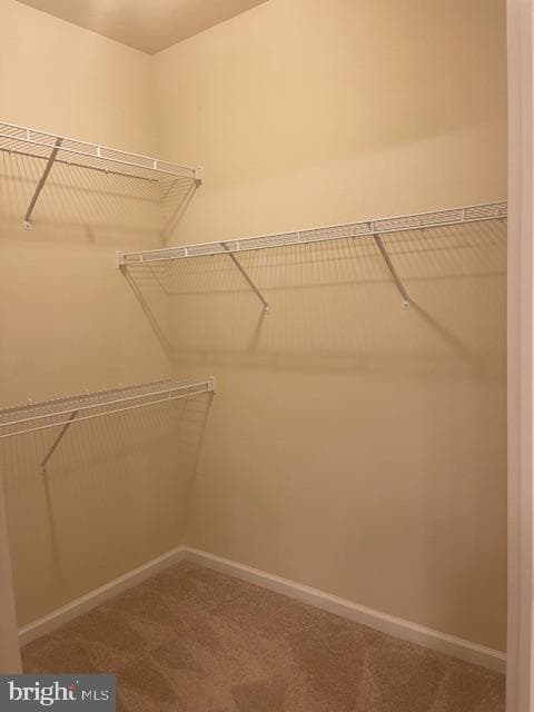 100 Dandridge Court #103 photo 49