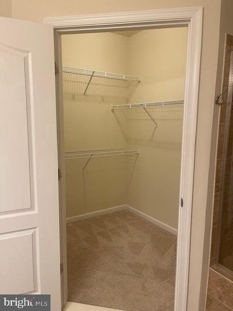 100 Dandridge Court #103 photo 52