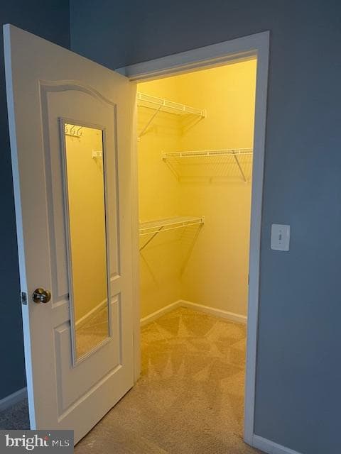 100 Dandridge Court #103 photo 72