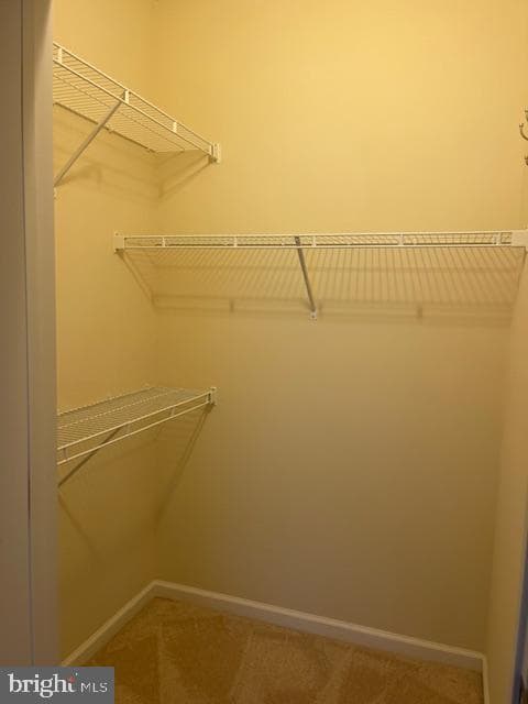 100 Dandridge Court #103 photo 73