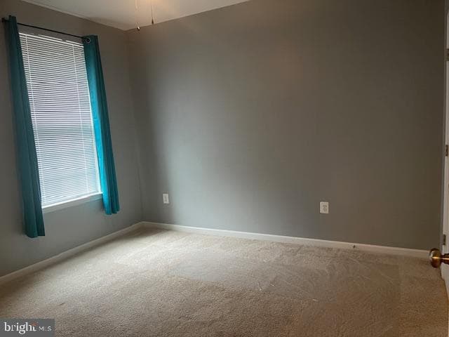 100 Dandridge Court #103 photo 78