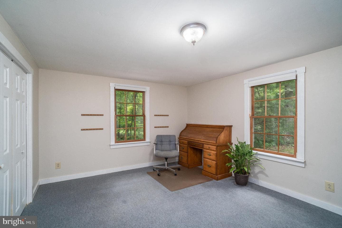 134 Hamlin Drive photo 32