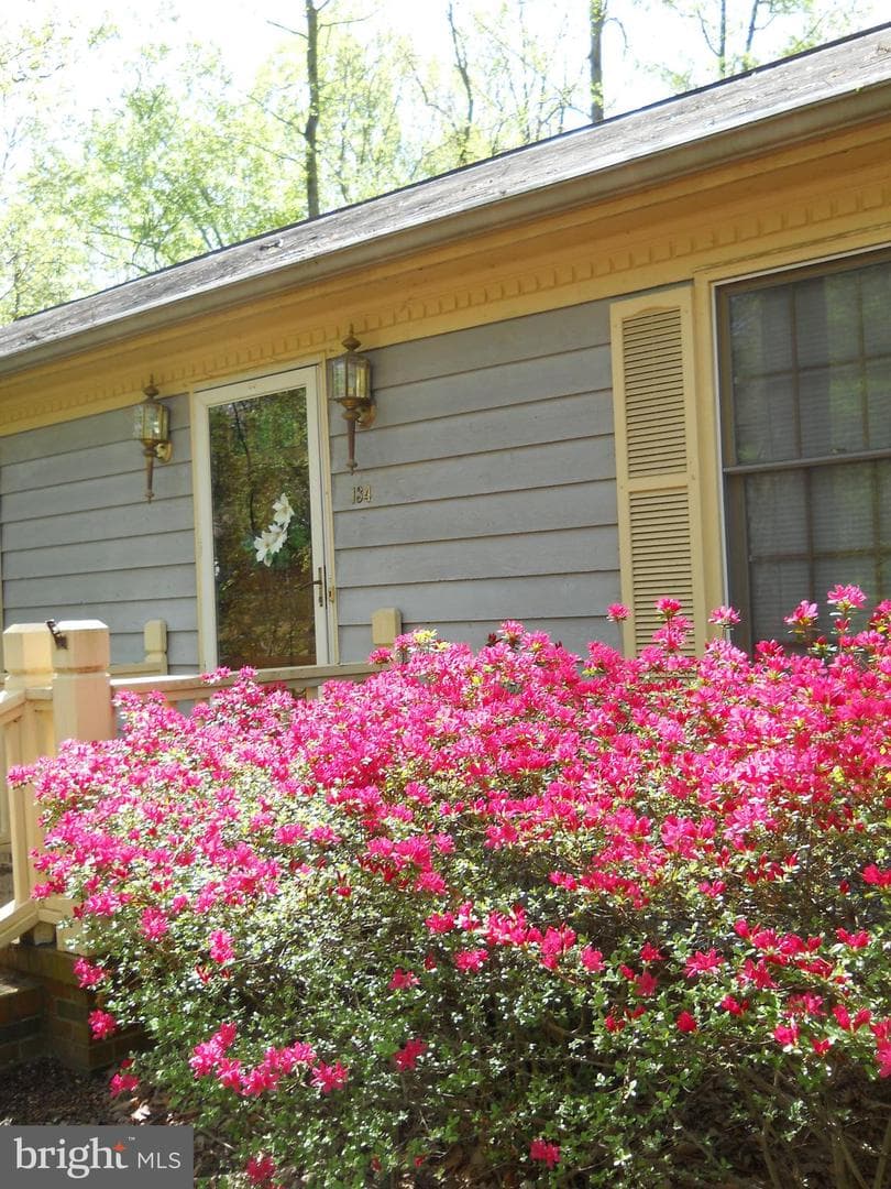 134 Hamlin Drive photo 65