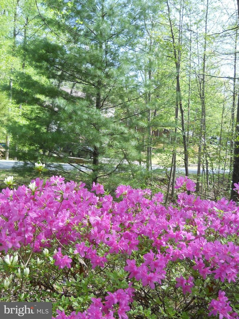 134 Hamlin Drive photo 66