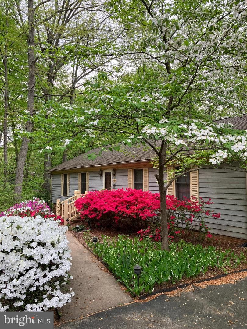 134 Hamlin Drive photo 67