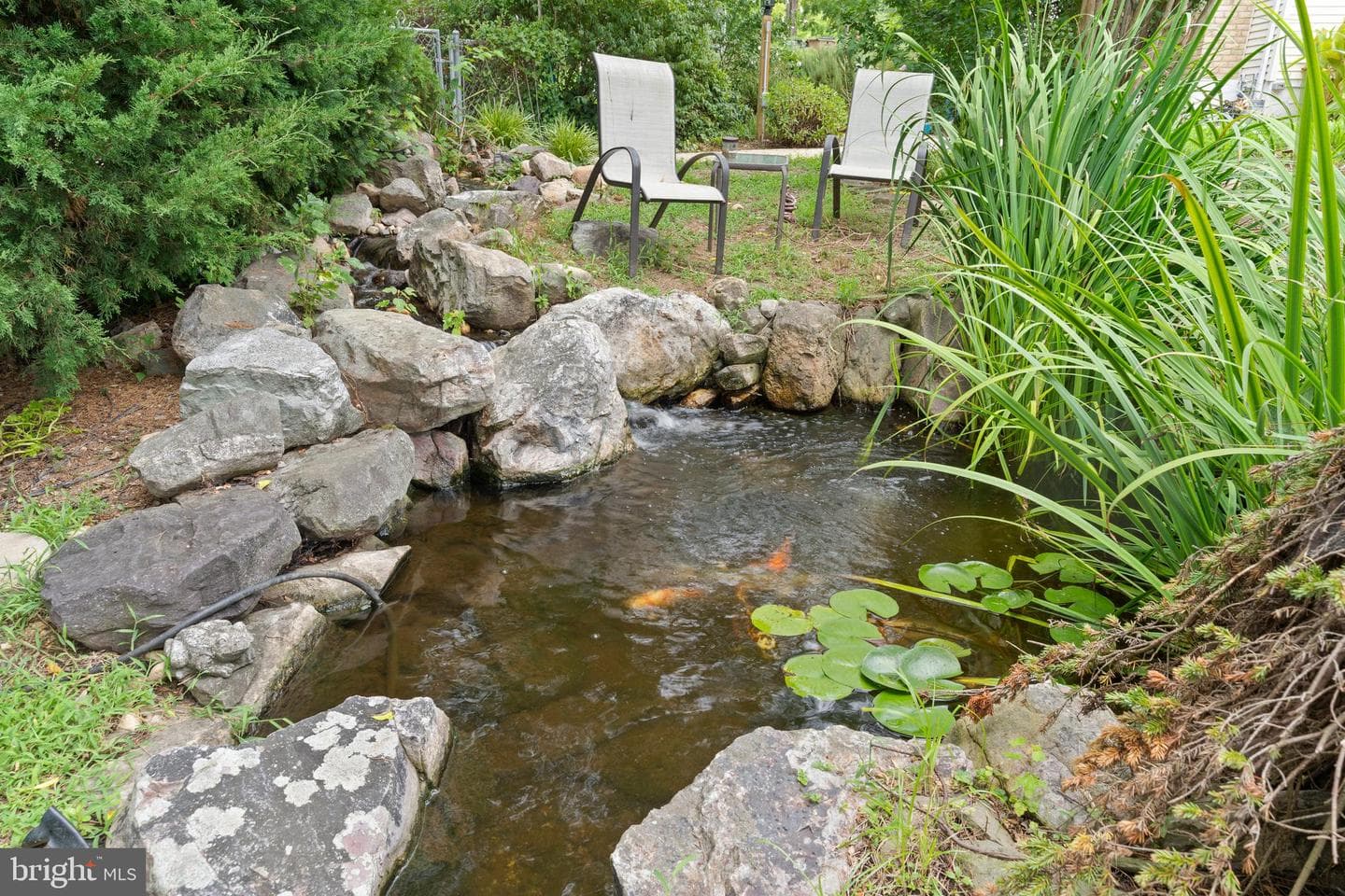 215 Stern Cove photo 52